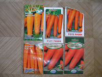 Отдается в дар Семена моркови