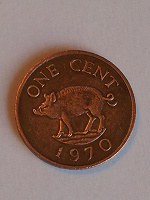 Отдается в дар Монетка 1 цент.