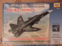 Отдается в дар Сборная модель истребителя СУ-47 «Беркут»