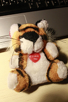 Отдается в дар Тигриная маленькая любовь :)