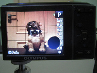 Отдается в дар Цифровой фотоаппарат Olympus X-43