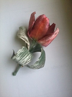 Отдается в дар Тюльпан из Бархата.