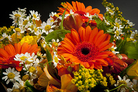 Подарок Букет цветов из коллекции «МидиФан»