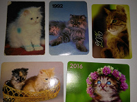 Отдается в дар Календарики с кошками