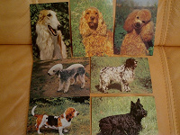 Отдается в дар открытки с собачками