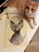 Отдается в дар Котопортрет