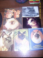 Отдается в дар календарики с кошками :)