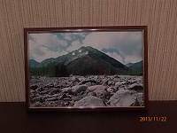 Отдается в дар Фотографии природы