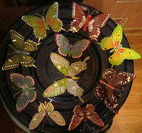 Отдается в дар Декоративные бабочки