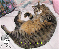 Отдается в дар Дарю милого толстого кота:)