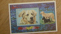 Отдается в дар марки собаки