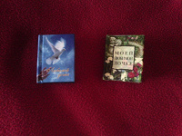 Отдается в дар Мини-книжки дочкам
