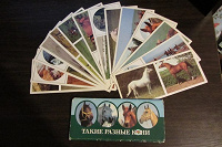 Отдается в дар Комплект открыток с лошадьми