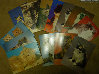 Отдается в дар открытки с котятами)