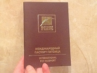 Отдается в дар Международный паспорт для питомца