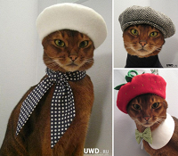 Элитная кошка, женская одежда S/M