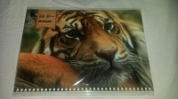 Отдается в дар Календари 2016 с тигром