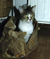 Отдается в дар кот в мешке (бижутерия)