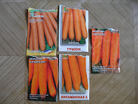 Отдается в дар Семена моркови N2