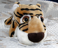 Отдается в дар Тигр