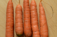 Отдается в дар Морковь-Любовь