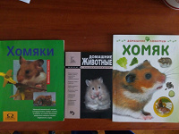 Отдается в дар книжки про хомяков
