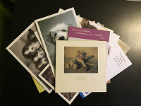 Отдается в дар 18 открыток с собаками