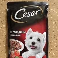 Отдается в дар Пакетик корма Цезарь для собак