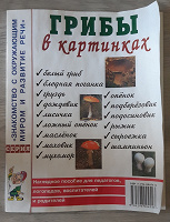 Отдается в дар Фото-пособие «Грибы»