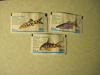 Отдается в дар вкладыши от жвачек. серия «рыбы», 3 разных