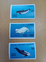 Отдается в дар Морская фауна