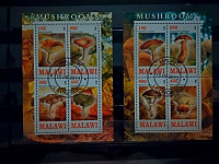 Отдается в дар Марки Малави