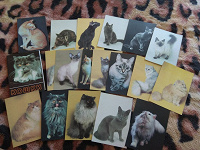 Отдается в дар Набор открыток «Кошки» 1991года