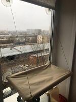Отдается в дар Лежанка для кошки на окно на присосках