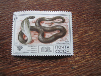 Отдается в дар марочка СССР, среднеазиатская кобра, 1977 г, не с конверта, гашеная