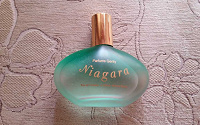 Отдается в дар Туалетная вода Niagara