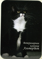 Отдается в дар карманные календарики.кошка