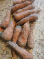 Отдается в дар Немного морковки