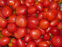 Отдается в дар Семена помидора на густую пасту «Вельможа»