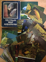Отдается в дар Набор открыток Пёстрый мир аквариума