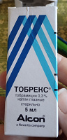 Отдается в дар Капли глазные Тобрекс