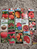 Отдается в дар Семена томатов детерминантные (часть 2)