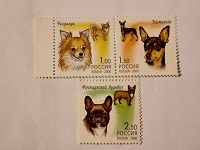 Отдается в дар Три собаки (марки)