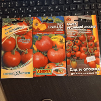 Отдается в дар Томаты семена