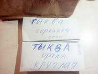 Отдается в дар Тыквенные семечки, сажать.