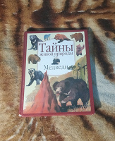Отдается в дар Энциклопедия Медведи