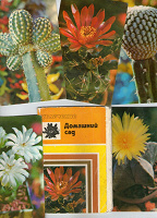 Отдается в дар Набор открыток с кактусами