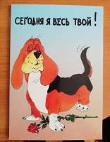 Отдается в дар Открытка коллекционерам