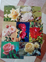 Отдается в дар Открытки СССР цветы розы — фотографии