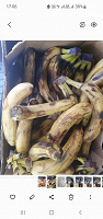 Отдается в дар Бананы свежие хлеб